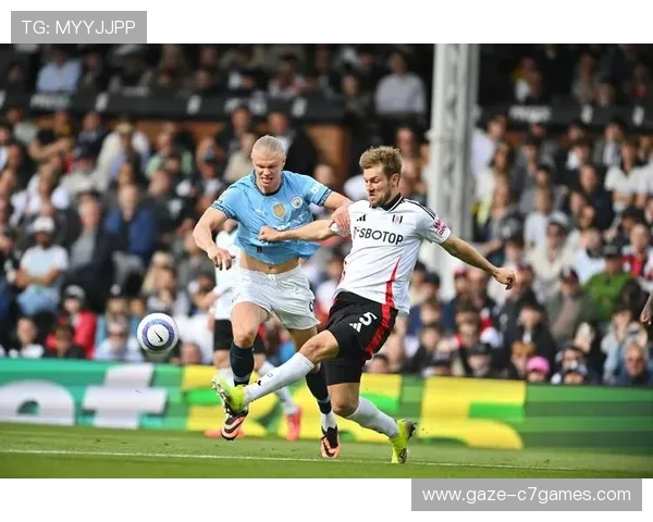 富勒姆俱乐部新赛季引援动向与主帅战术调整最新动态英超征程前景展望