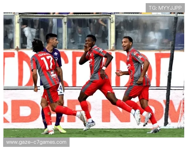 维罗纳俱乐部的崛起与挑战：探索意甲历史上的一支传奇球队